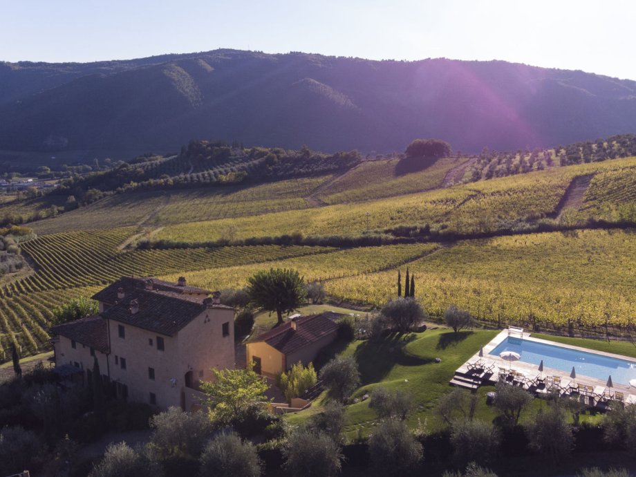 Villas in Vineyards in Italy