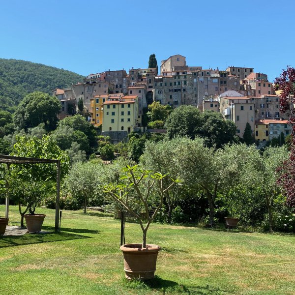 View of Ameglia from Casa Guelfi's garden