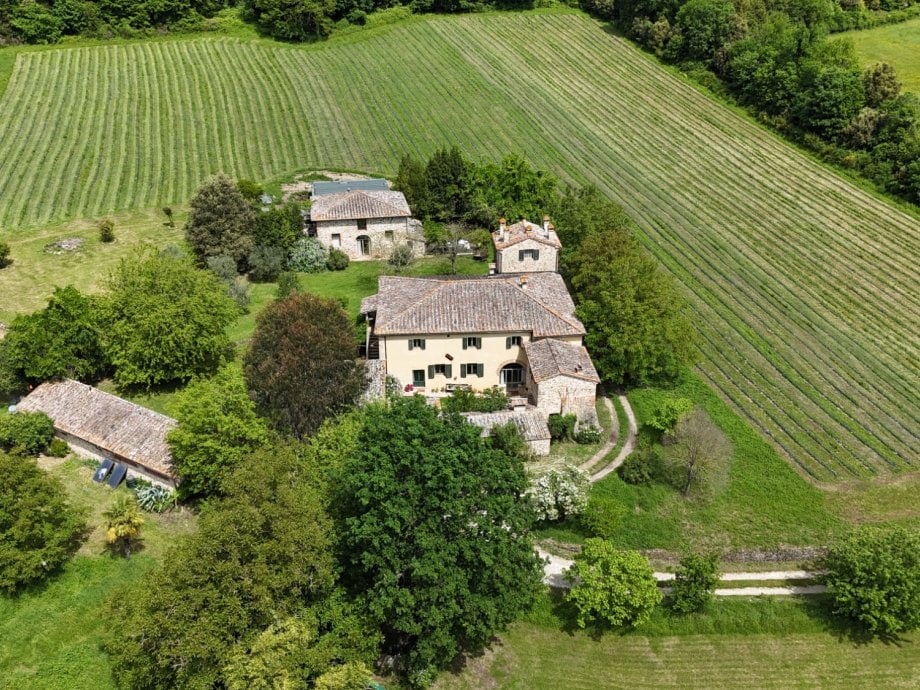 Il Nido