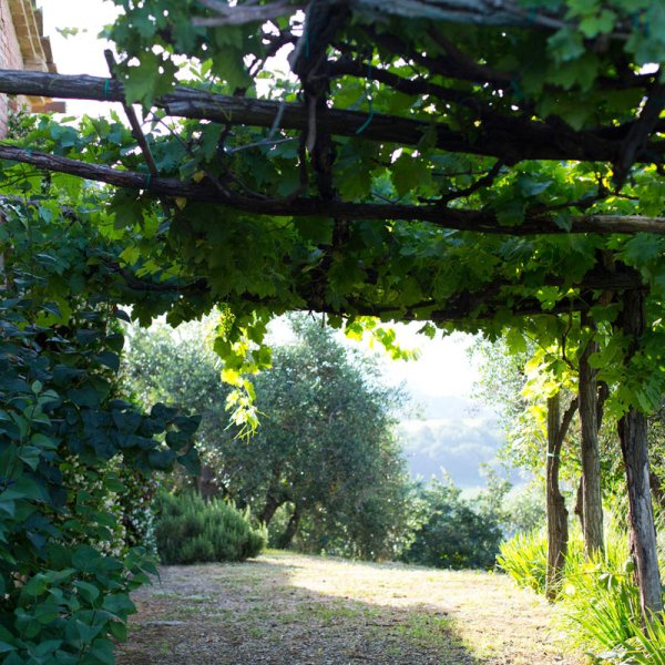 Cipressi | A luxury Tuscan villa close to Siena