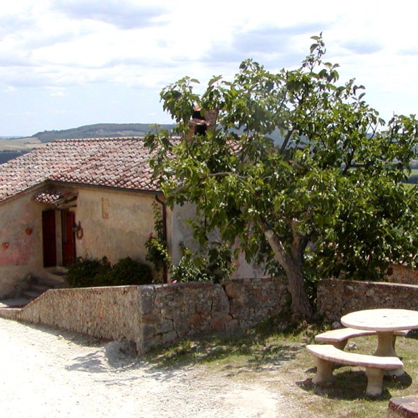 Damiano | A stone cottage with large shaded patio and expansive views