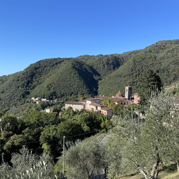 The village from Villa Fobbia