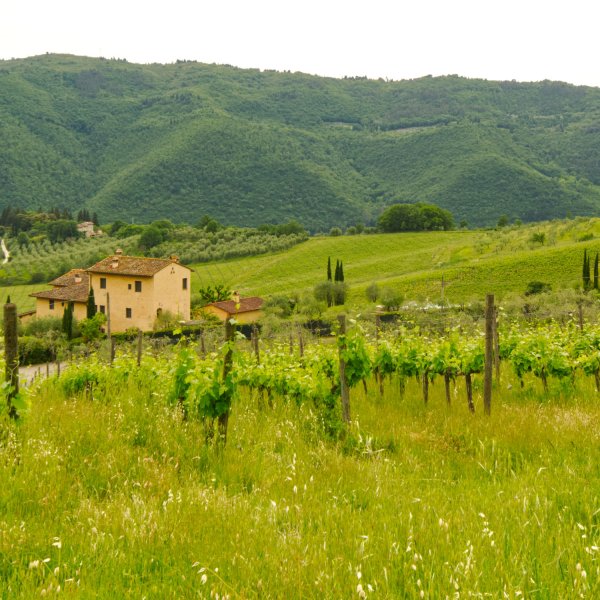 La Ronda | Tuscan apartment on a wine estate near Florence