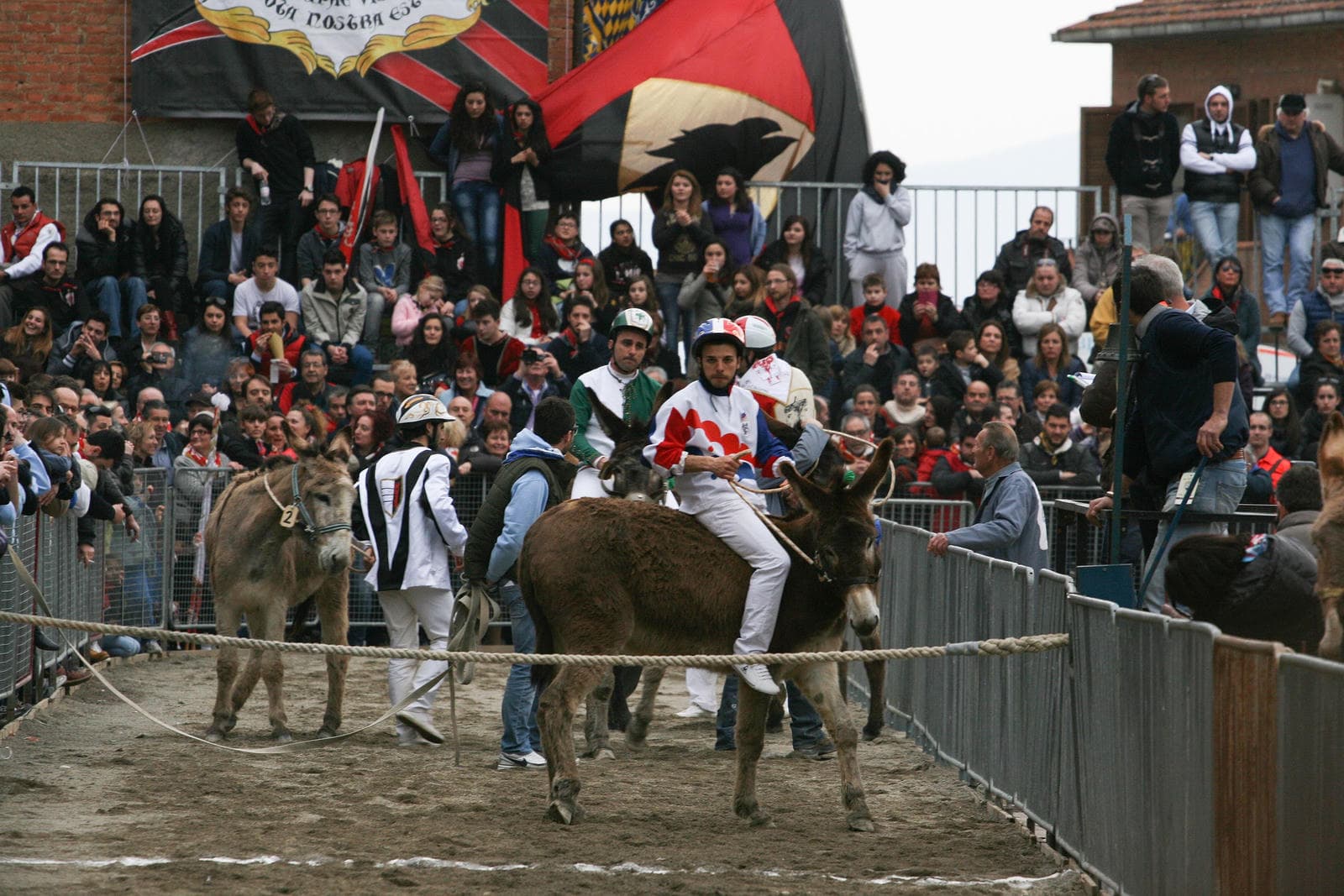 The Donkey Palio in Torrita di Siena - the donkeys are often very unhelpful indeed! Photo by Stefano Guerrini, Wikimedia Commons, License CC-BY-SA 3.0 Torrita_Palio_dei_Somari