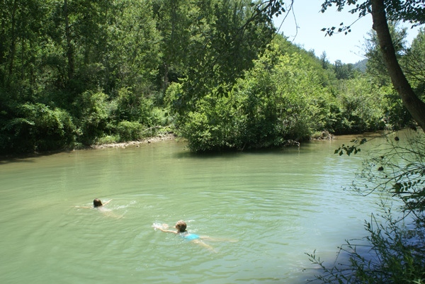 Wild Swimming in the Merse