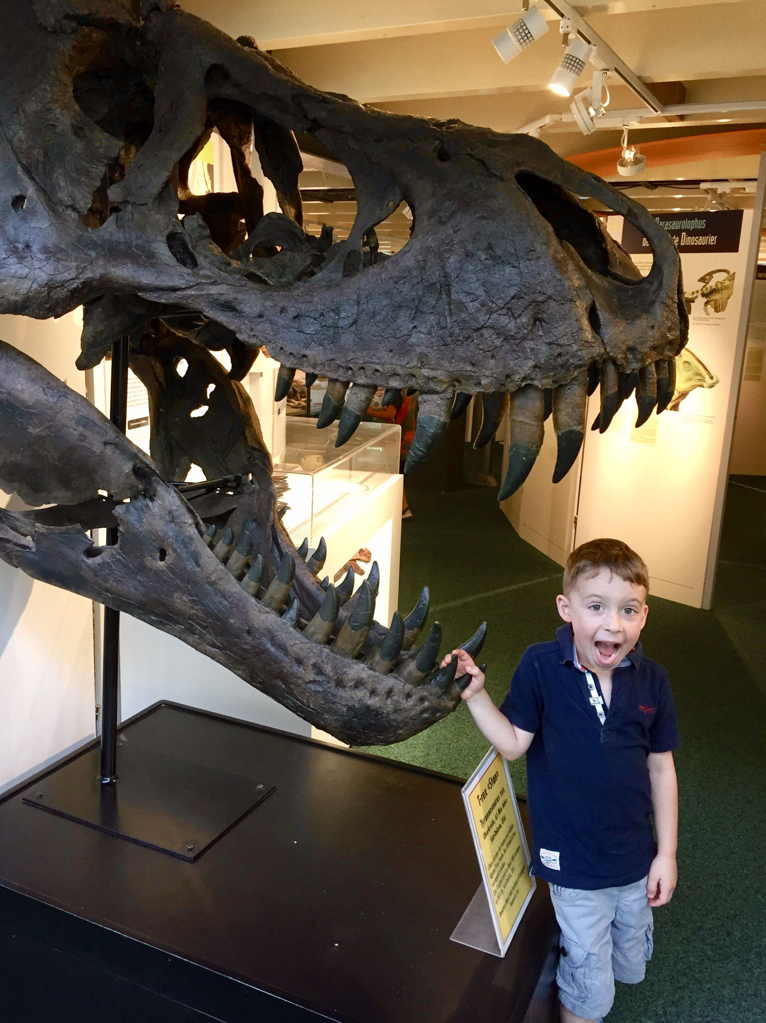 Dinosaur Museum in Switzerland